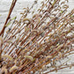 Showy Catkin Floral Mega Willow
