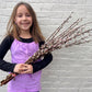 Showy Catkin Floral Mega Willow