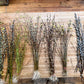 Showy Catkin Floral Mega Willow