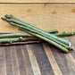 Salix Gracilistyla "Mt. Aso"