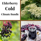 A collage featuring different stages and aspects of elderberry growth, including blossoms, berries, and a jar of elderberry product, with text overlay 'Elderberry Cold Climate Bundle'.